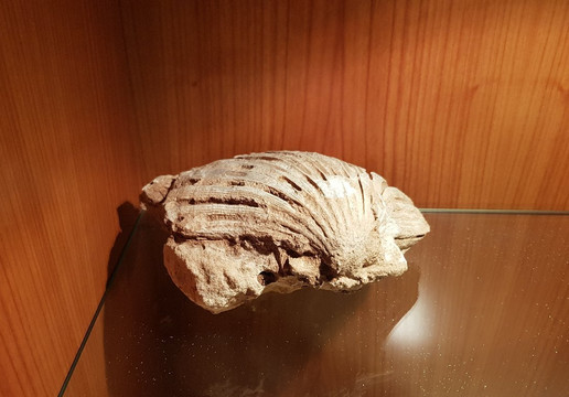 GeoLab Museo Laboratorio di Scienze della Terra-San Gemini必去景点