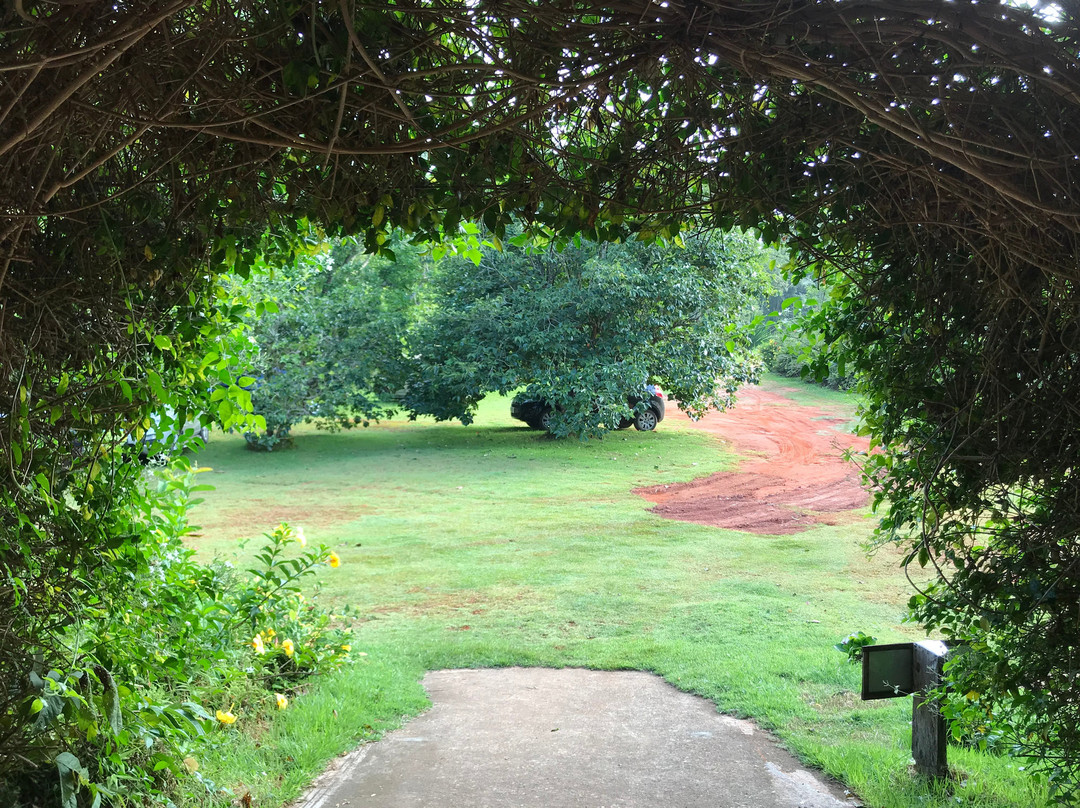 Fazenda Sao Luiz景点图片