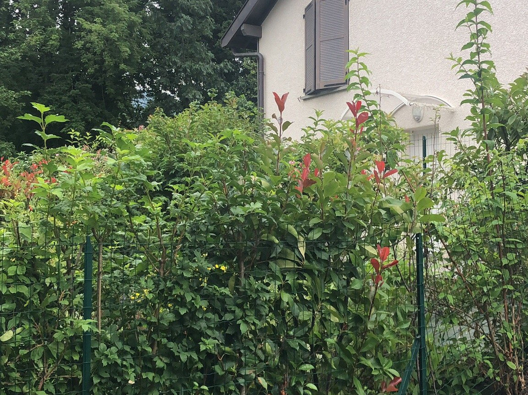 Parc Charles Bosson-安纳西必去景点