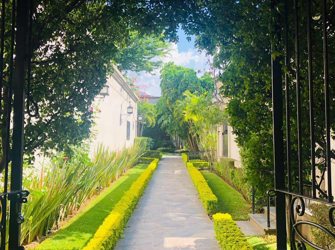 Hotel Villa Tequila主图