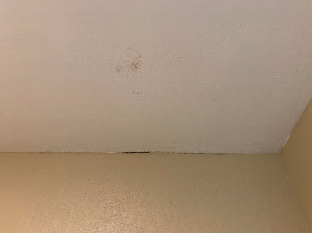 Baymont by Wyndham St. Ignace Lakefront主图