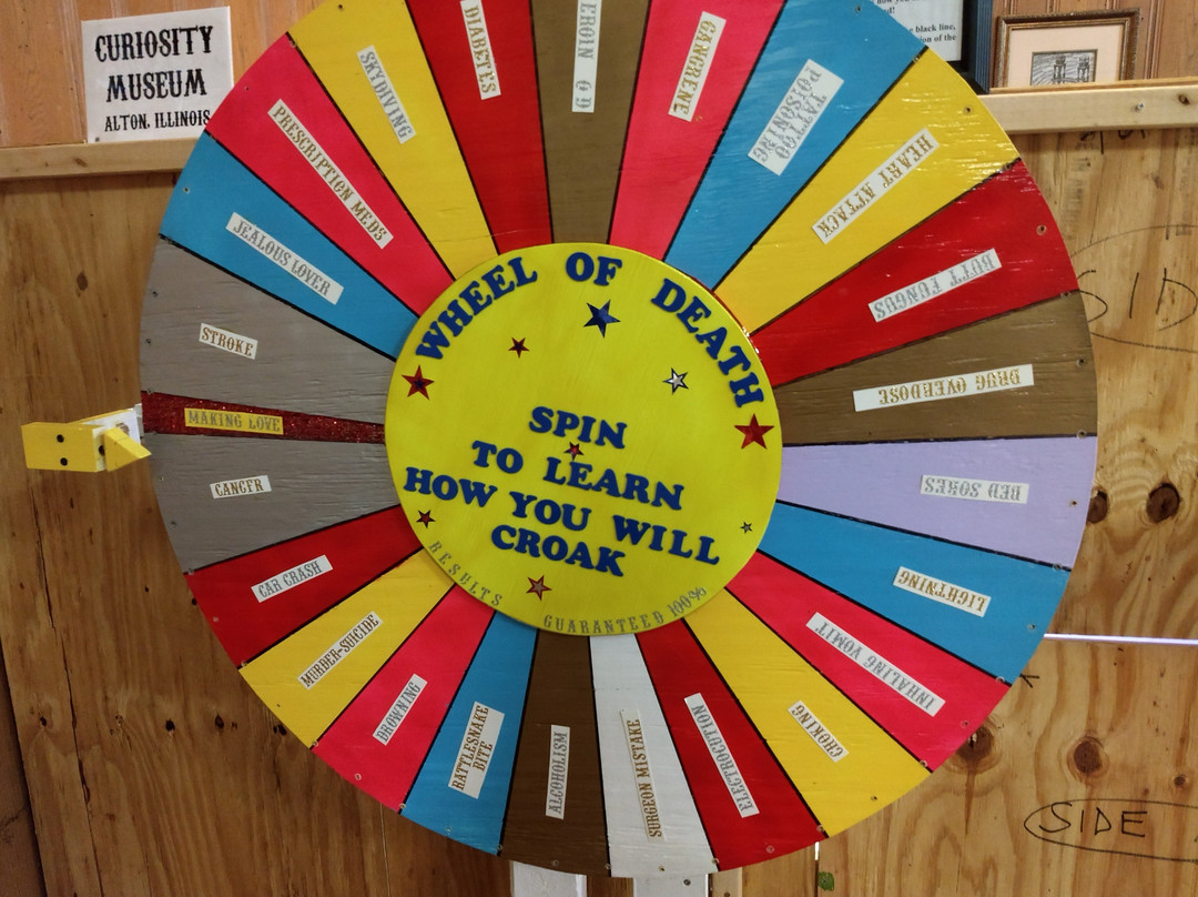 Curiosity Museum-奥尔顿塔必去景点