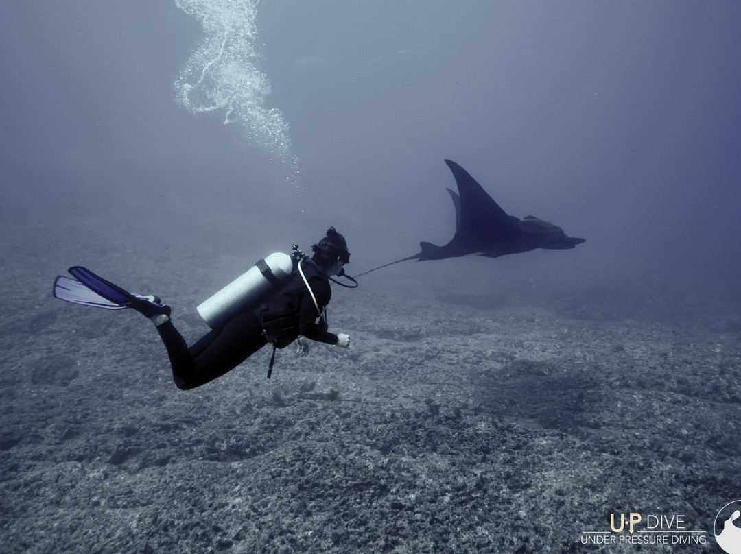 UP Dive-拉巴斯必去景点