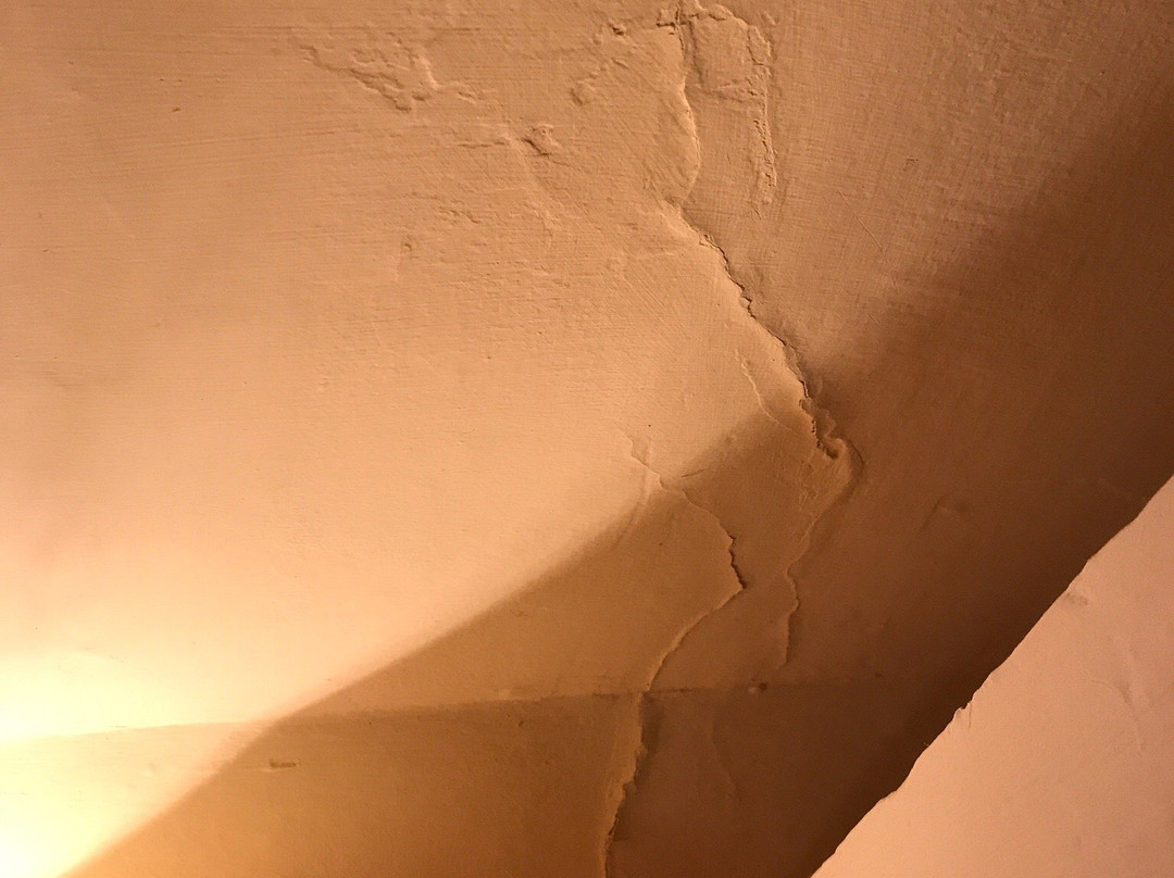 Lanteglos Country House Hotel主图