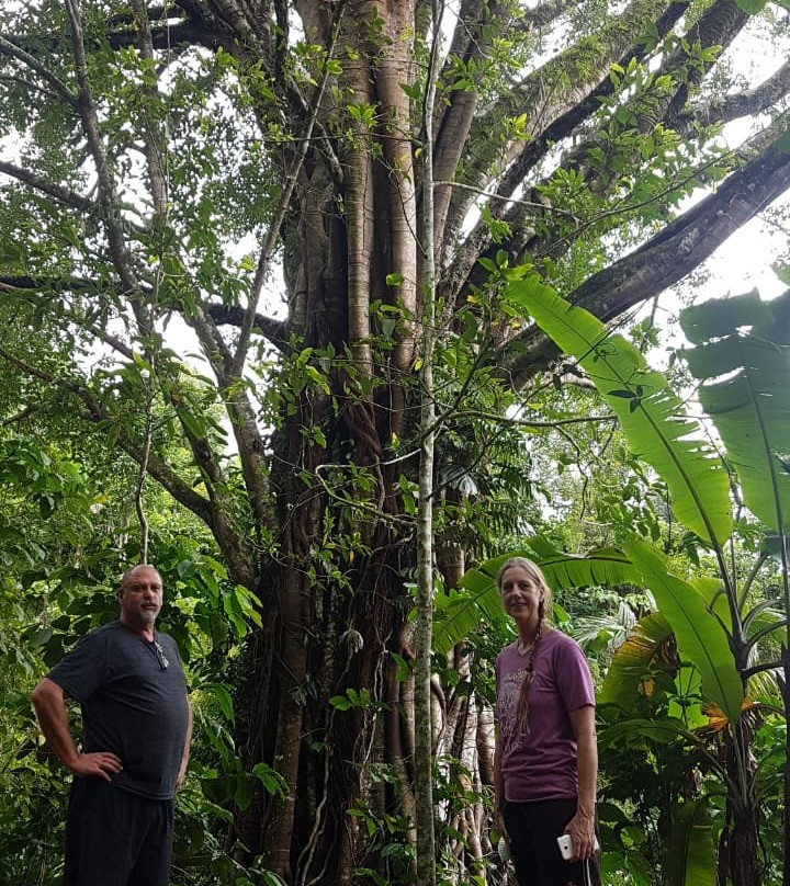 Galungan Waterfalls Trekking-新加拉惹必去景点