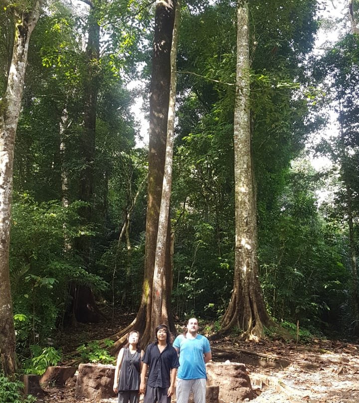 Galungan Waterfalls Trekking-新加拉惹必去景点