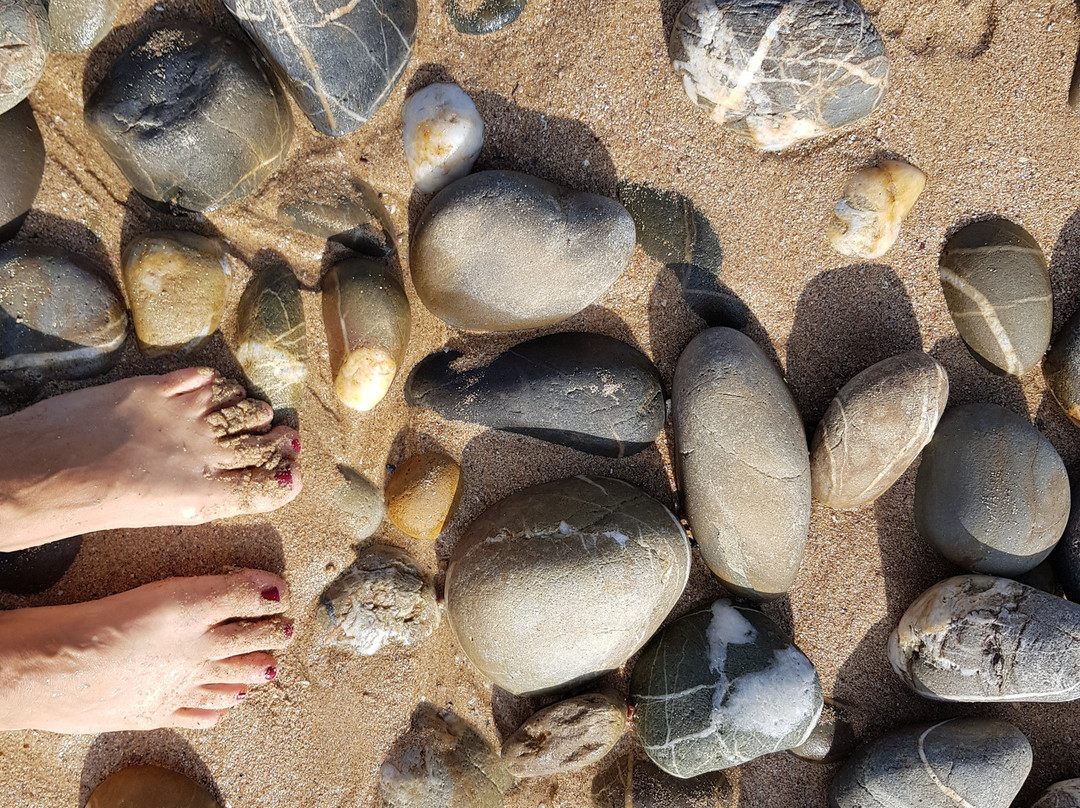Praia do Malhão景点图片