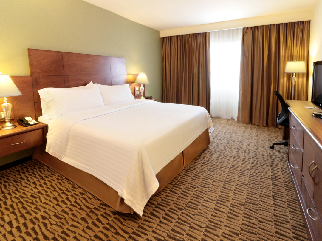 San Nicolas de los Garza酒店住宿-Holiday Inn Monterrey Norte by IHG