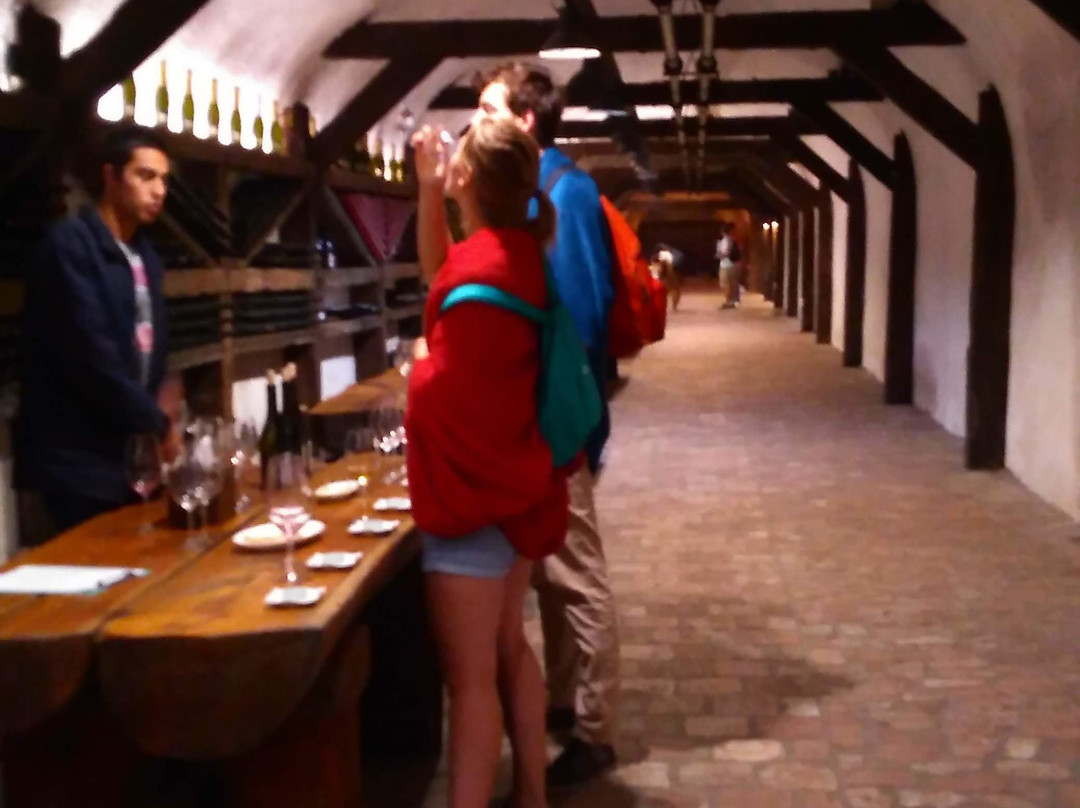 Wineshop “Winery Khareba”-Kvareli必去景点