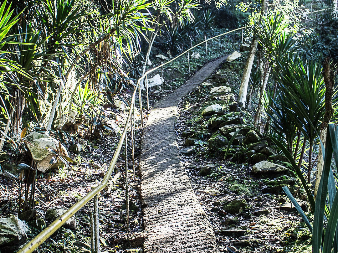 Cachoeira da Linha Feijo-南卡希亚斯必去景点