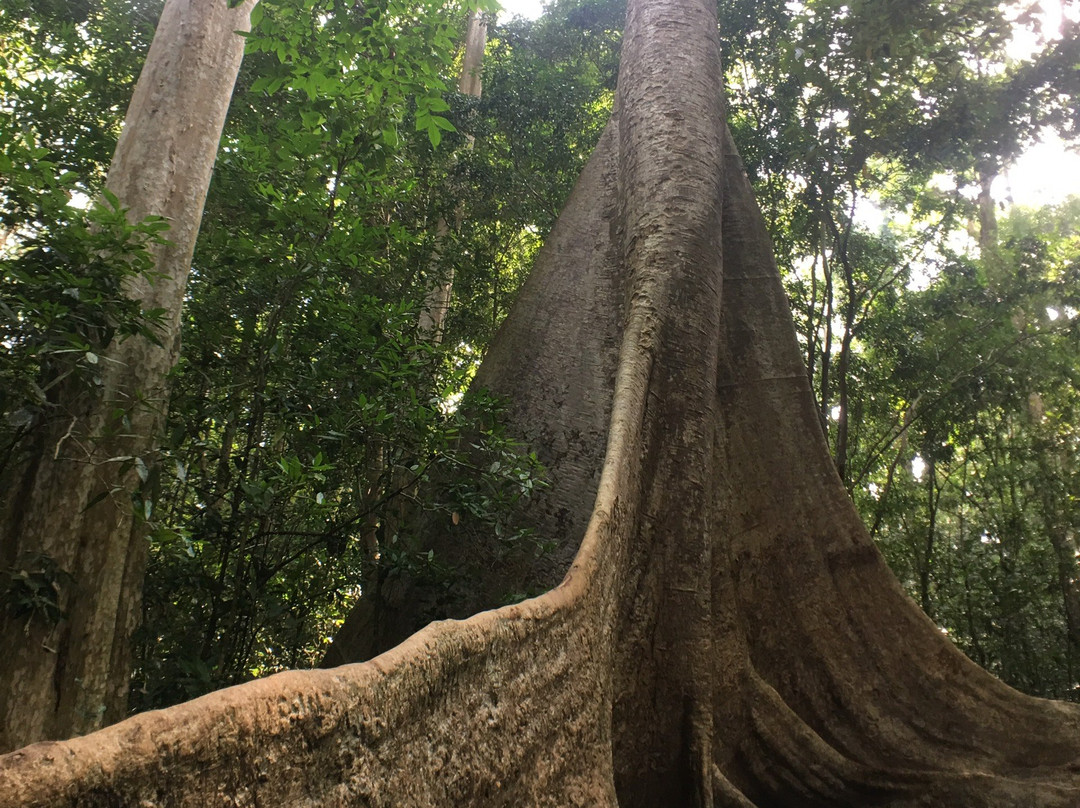 Thuy Tien Eco-Lodge主图