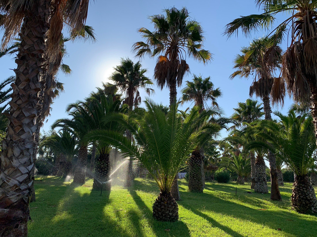 Cavo D' Oro Hotel主图