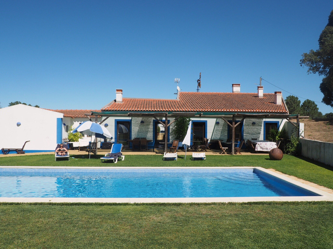 The New Laziness主图