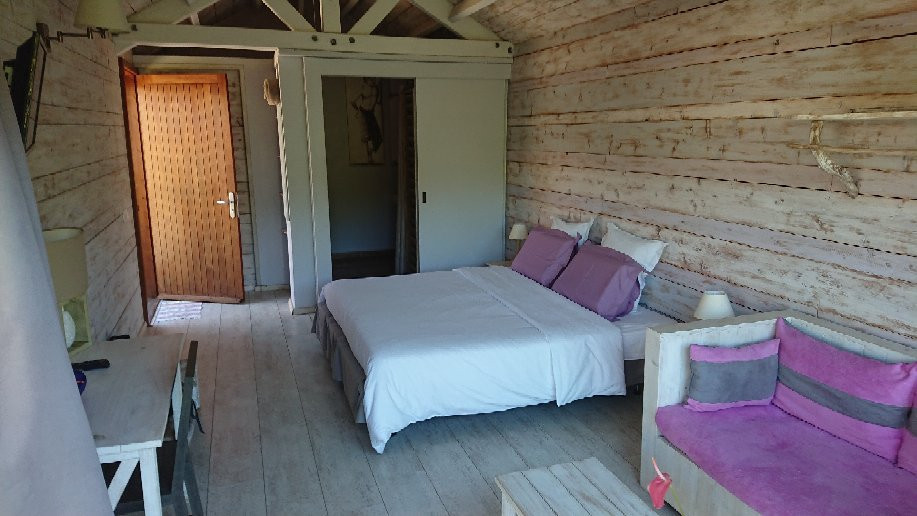 La Bulle Verte主图