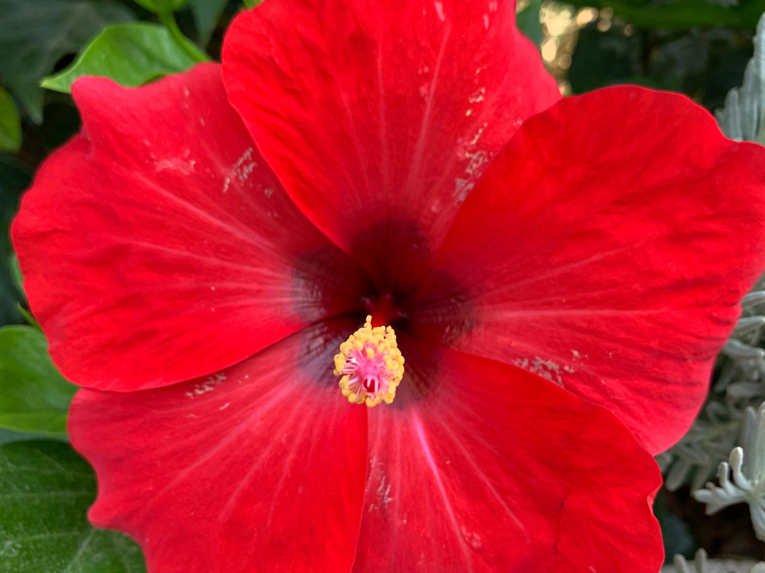 Villa Kastraki主图