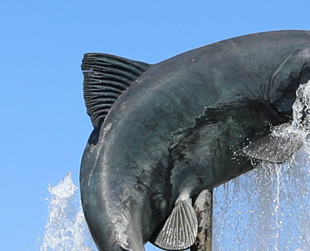 Fontaine de la truite à Ornans-Ornans必去景点