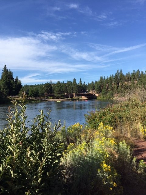 Pine Ridge Inn主图