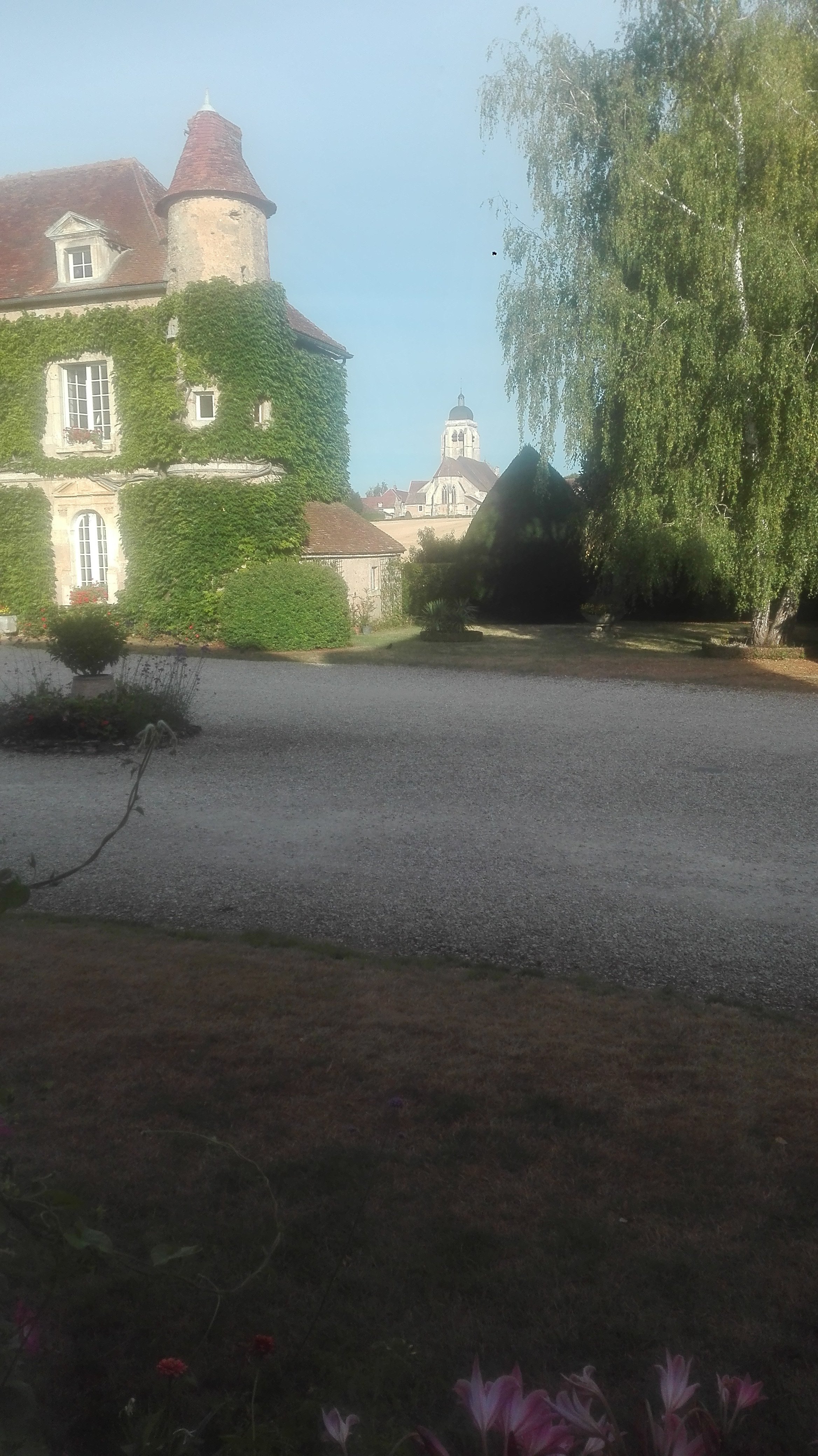 Château De Ribourdin-酒店景观
