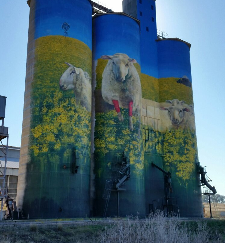 Merriwa Silo Art-Merriwa必去景点