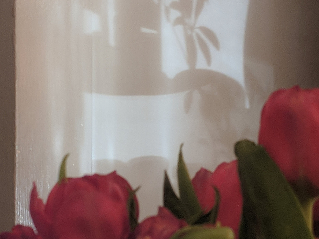 Beech Tree Inn- Brookline主图