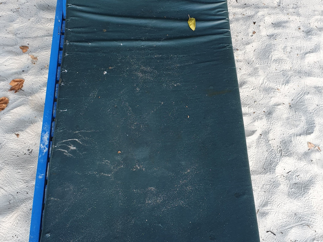 Hoga Island Dive Resort主图