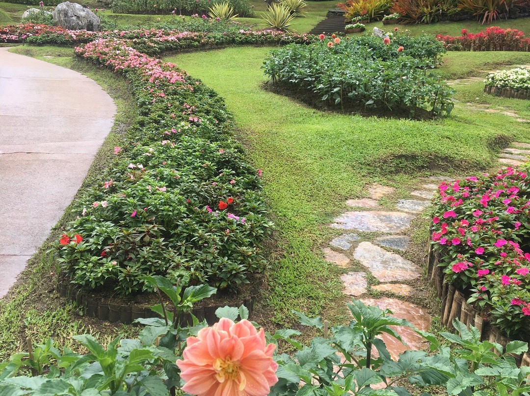 Mae Fah Luang Garden景点图片