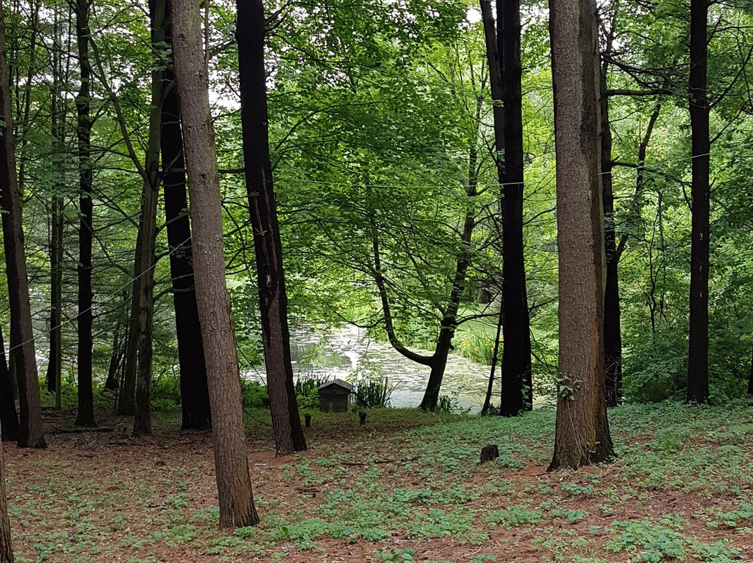 Pinecroft Pottery-Aylmer必去景点