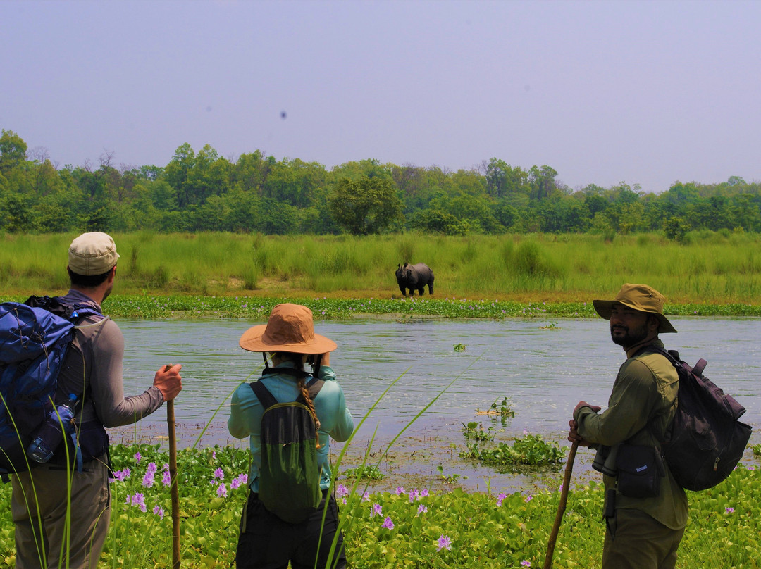 The Chitwan Jungle Guides-苏拉哈必去景点