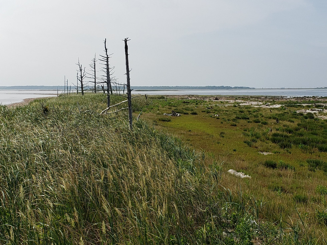 Notsuke Penninsula Nature Center-别海町必去景点