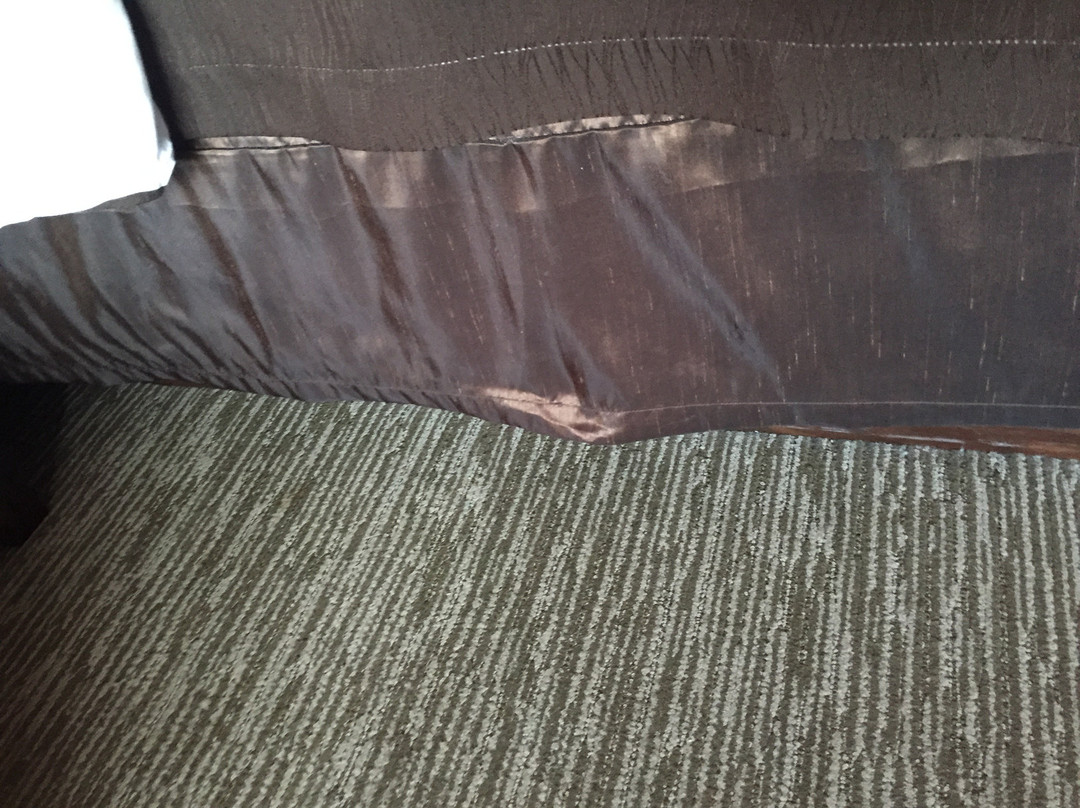 Comfort Inn & Suites主图