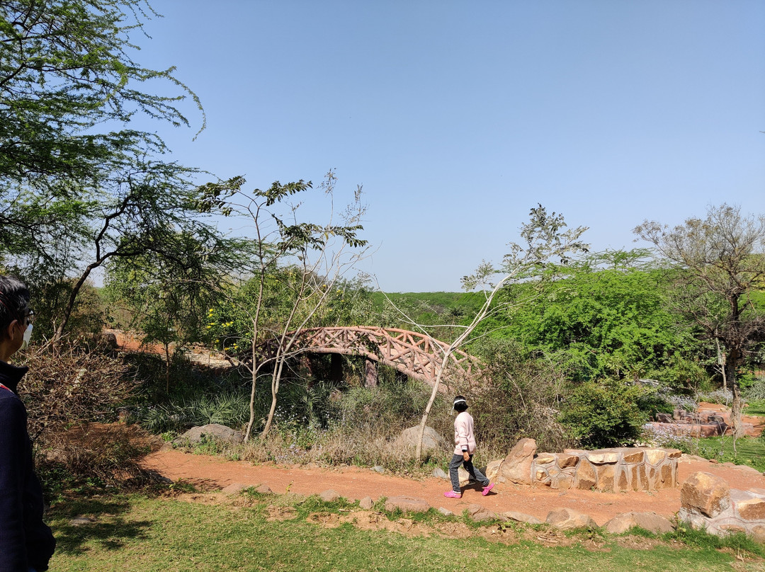 Asola Bhatti Nature Trail-新德里必去景点