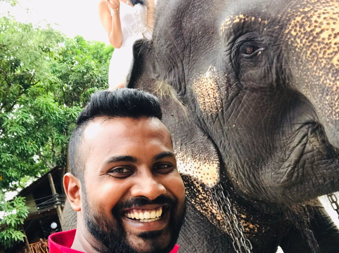 Naja Lanka Travels & Toures-尼甘布必去景点