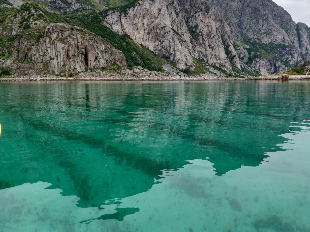 Kayak Lofoten景点图片