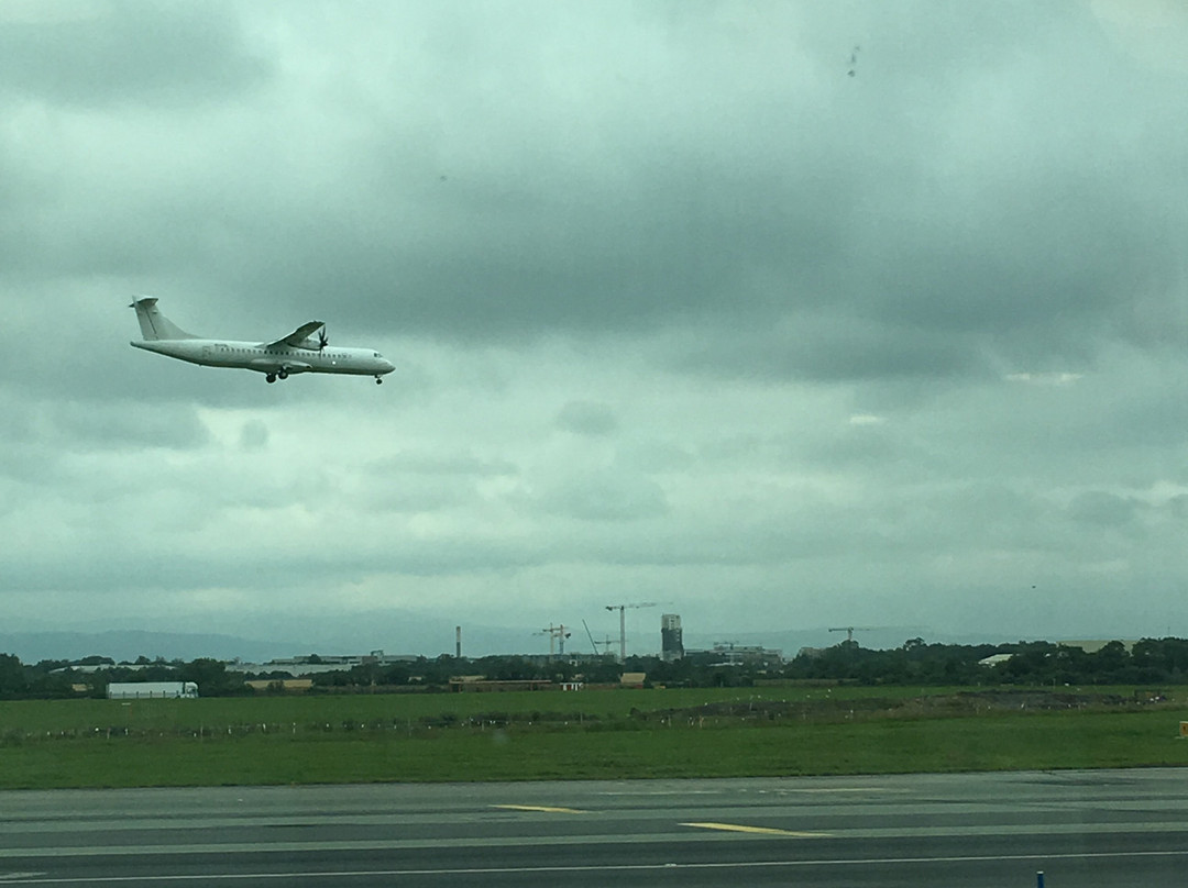 51st & Green Lounge-都柏林必去景点