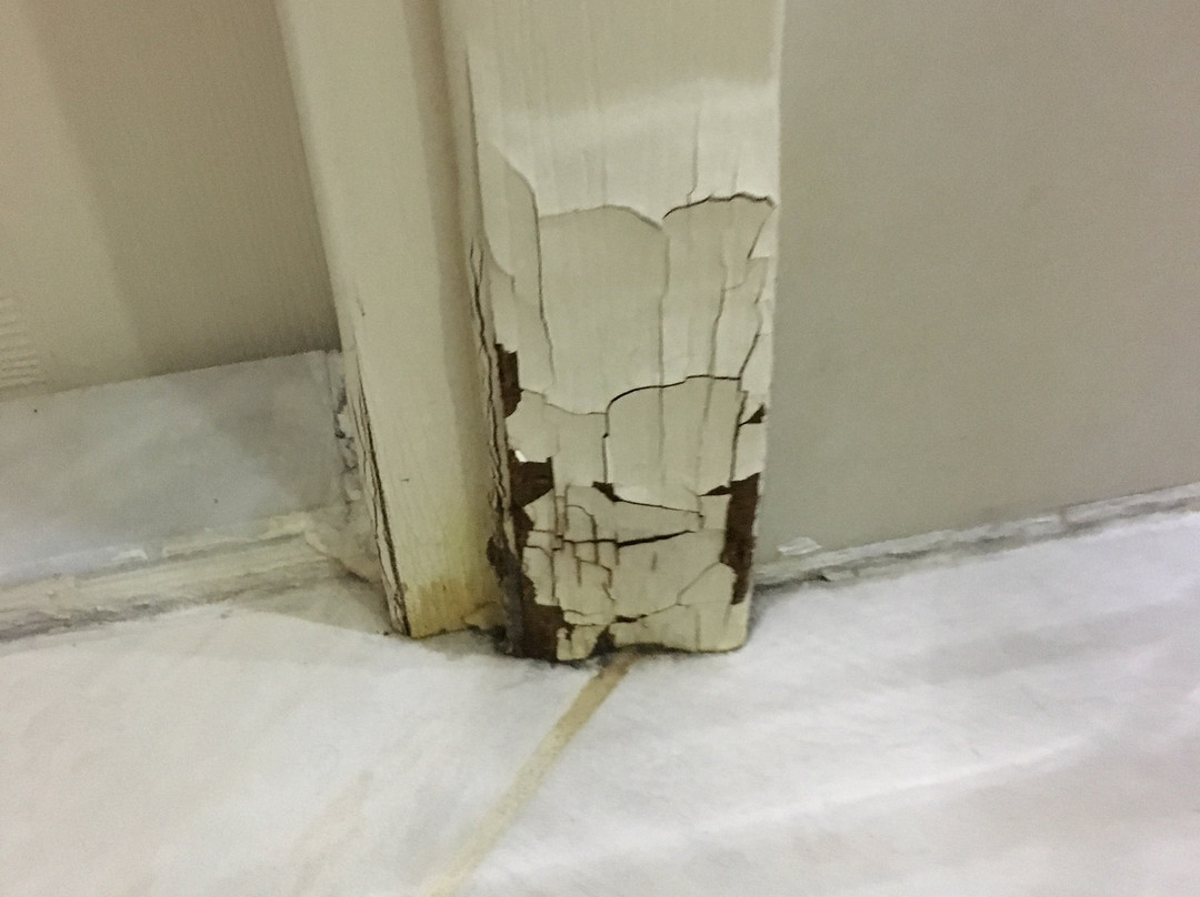 Kaju Beach Otel主图