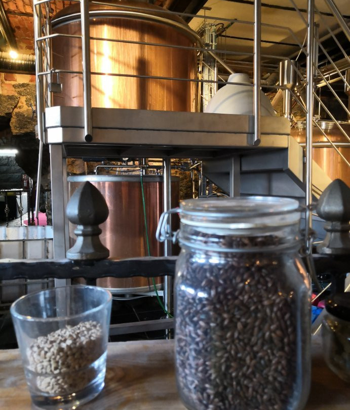 Bock’s Corner Brewery-瓦萨必去景点