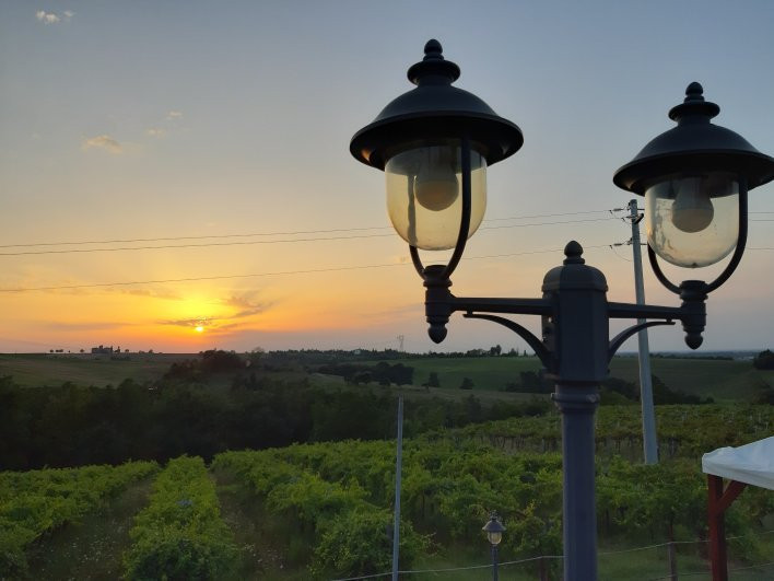 Monte San Pietro餐馆和美食-La Cantina dei Sapori