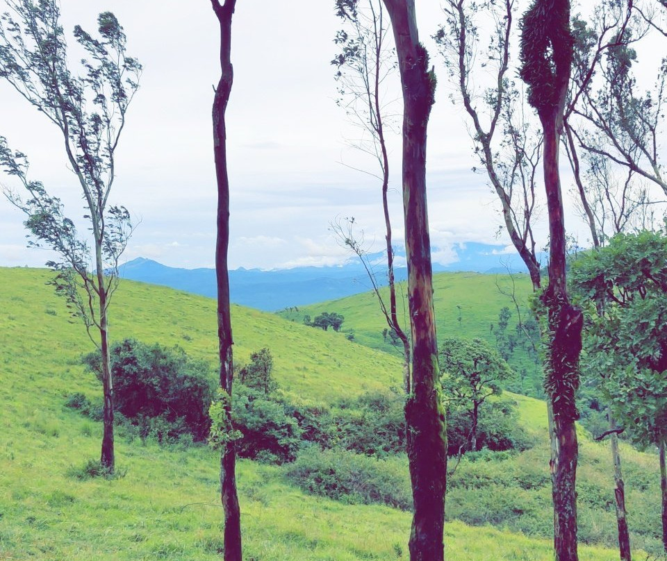 Himada Gopalswamy Temple-迈索尔必去景点