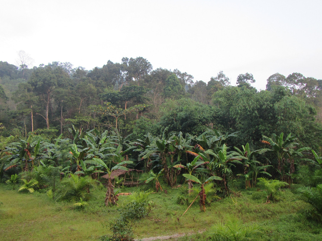 Batu Kapal Guest House主图