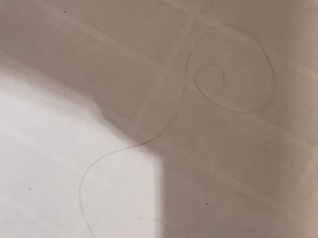 Pier View Suites主图