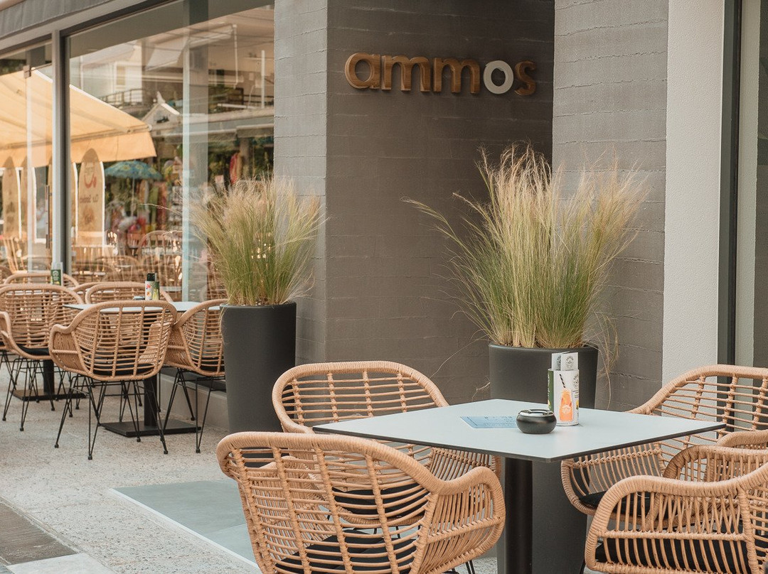 Ammos Beach Seaside Luxury Suites主图
