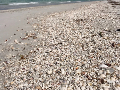 Matlacha Boat Rides and Rentals-Matlacha必去景点