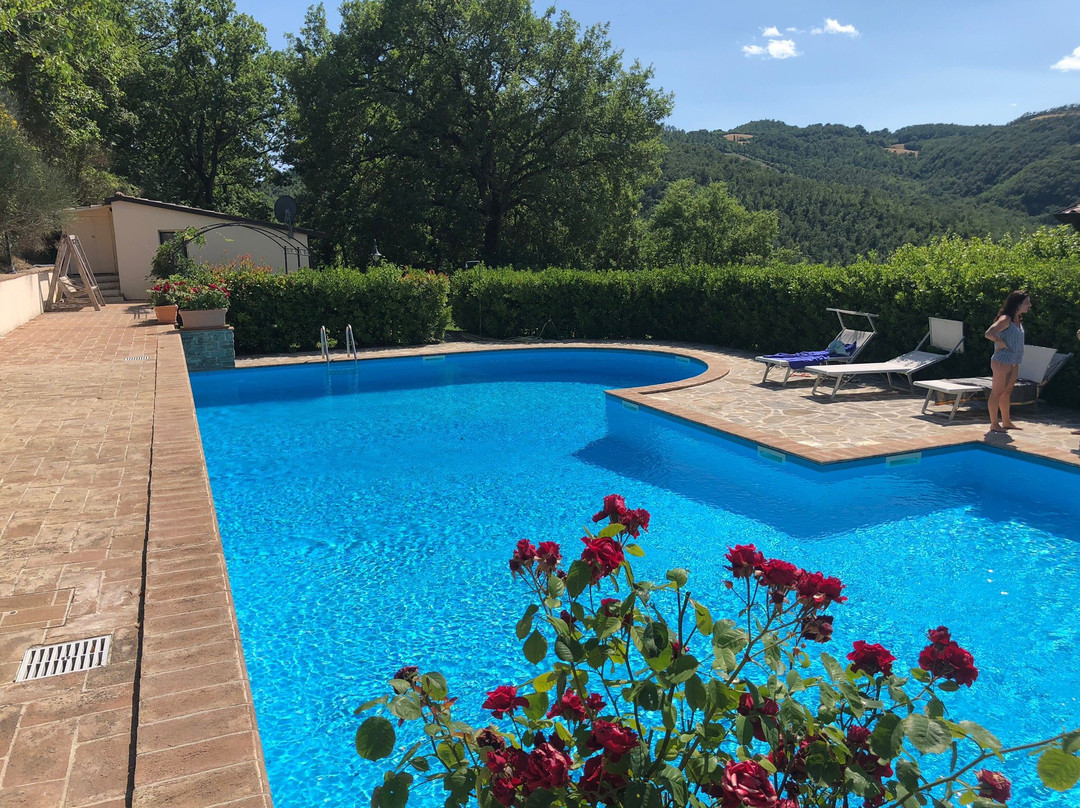 Le Torracce Agriturismo Olistico主图