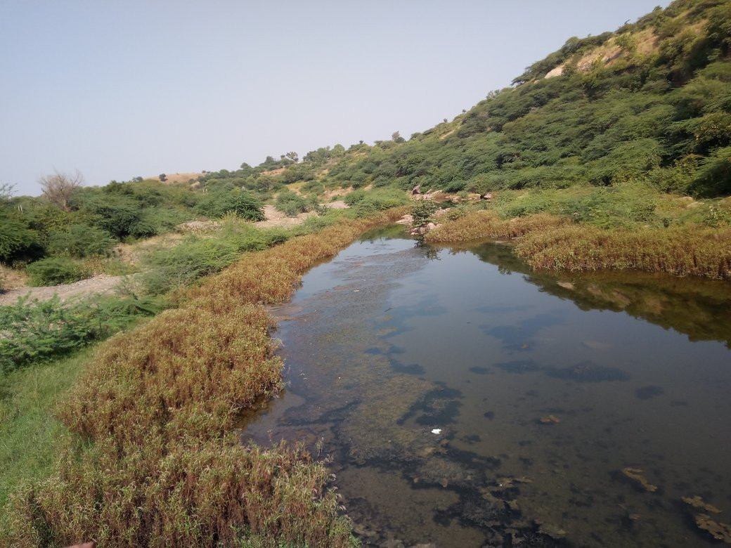 Bagh Caves-Dhar必去景点