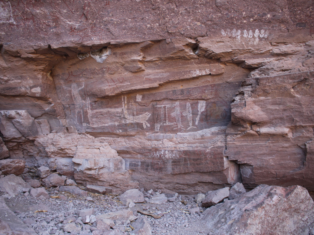Mulege Tours - Day Tours-Mulege必去景点