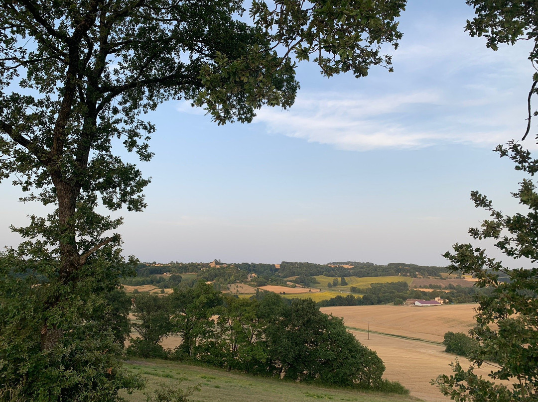 La Colline du Mieucas主图