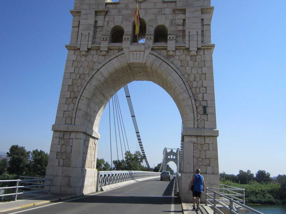 Puente de Amposta景点图片