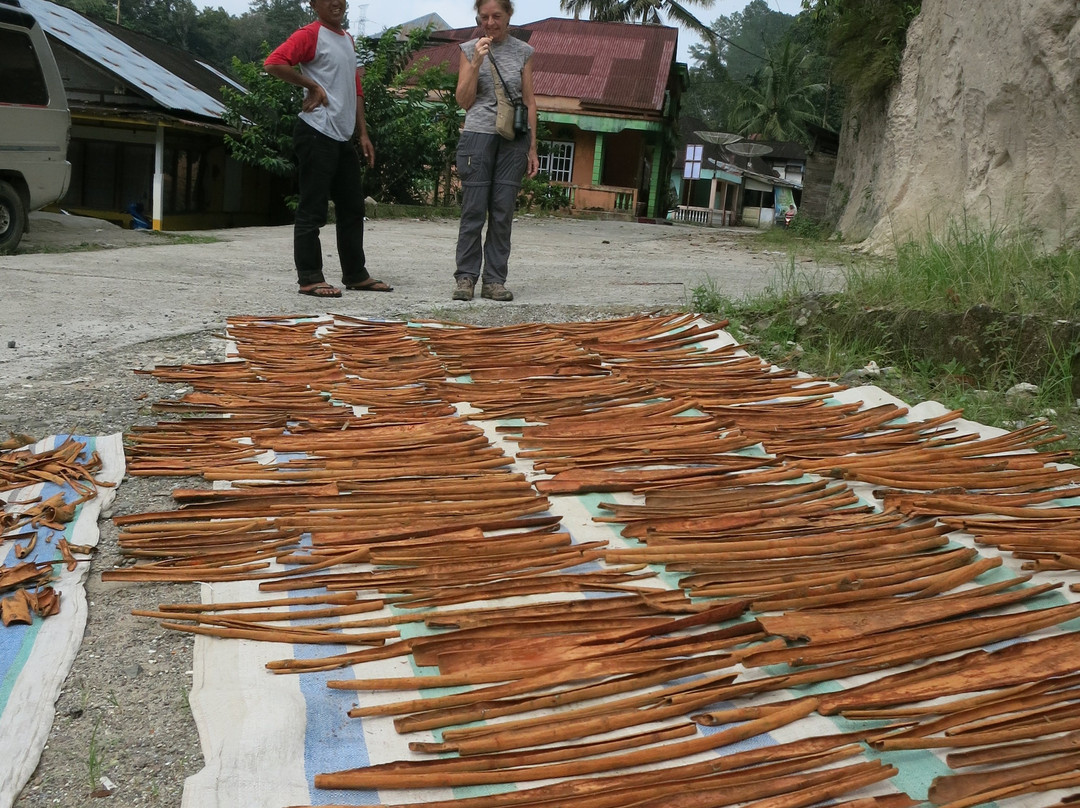 Batang Palupuh Nature Conservation Center (Rafflesia Park)-Palupuh必去景点