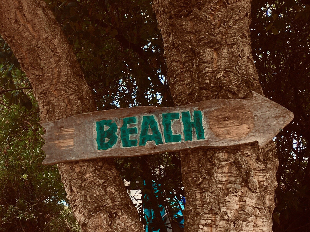 Desert Point École de Surf-Messanges必去景点