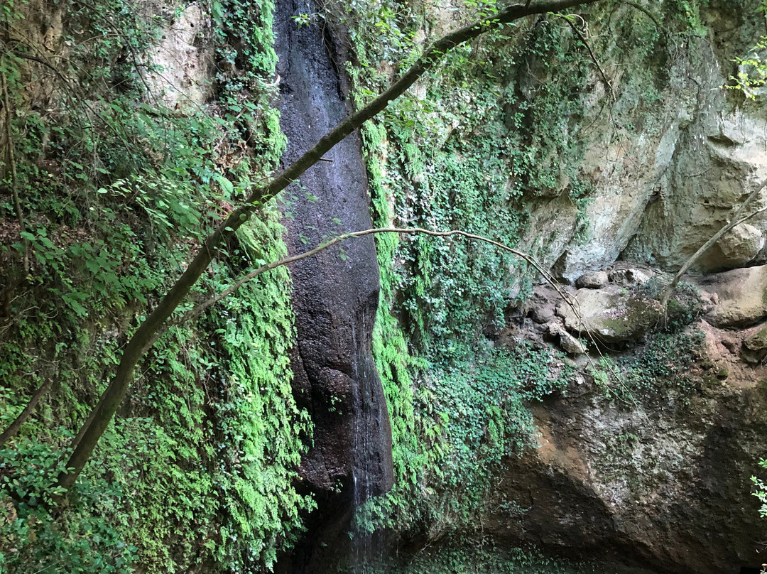 Romitori di Ischia di Castro-Ischia di Castro必去景点